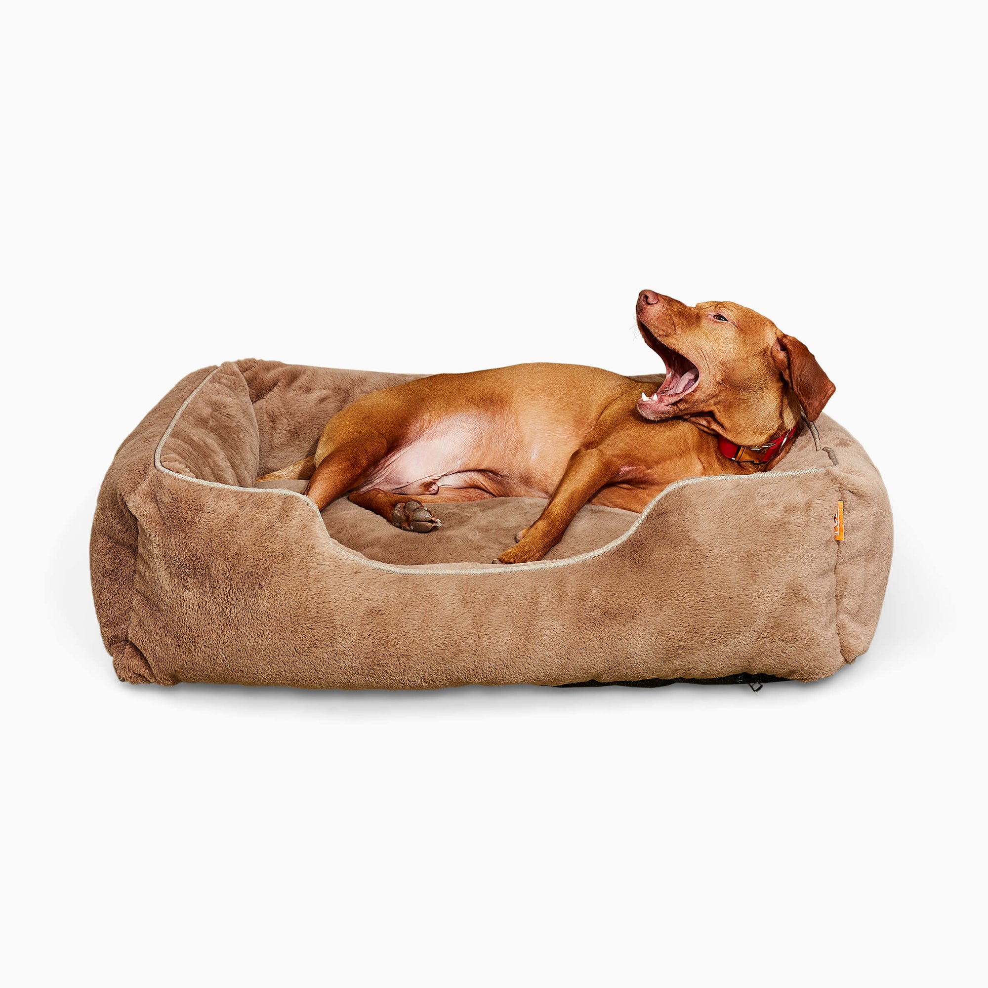 The Sammy Dog Bed