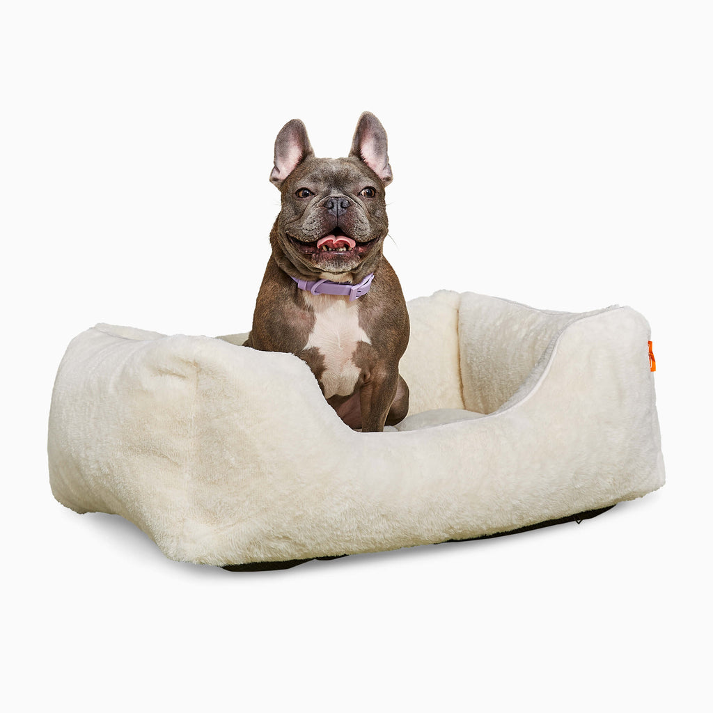 The Sammy Dog  Bed