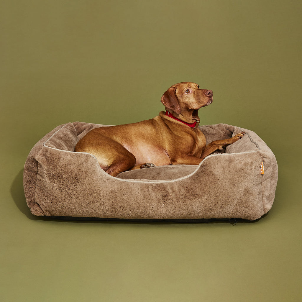 The Sammy Dog Bed