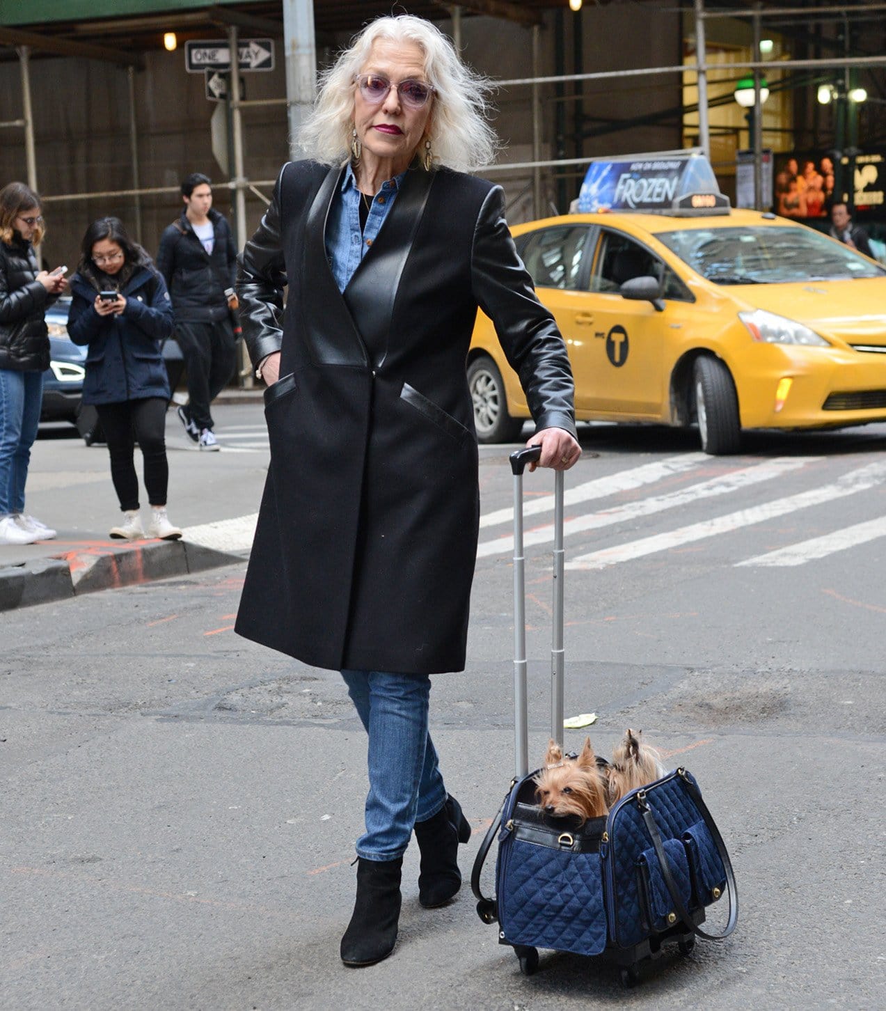 Edgar Pet Carrier + Pet-Trek® : Airline Approved