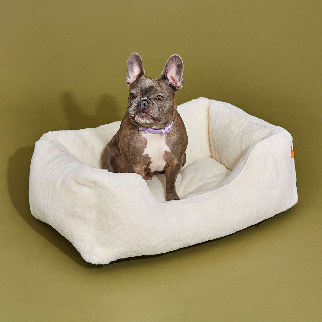 The Sammy Dog  Bed