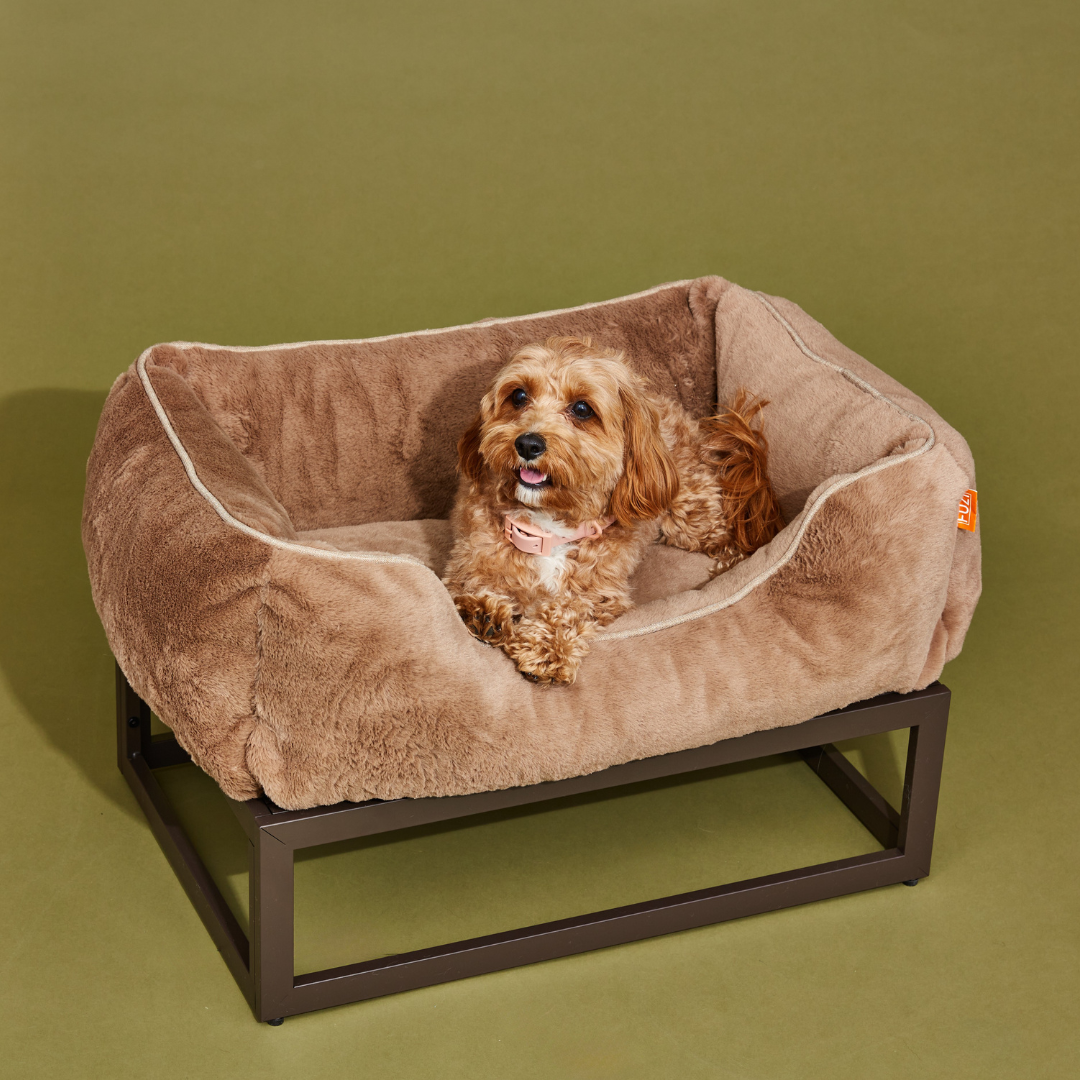 The FÜZI Dog Bed