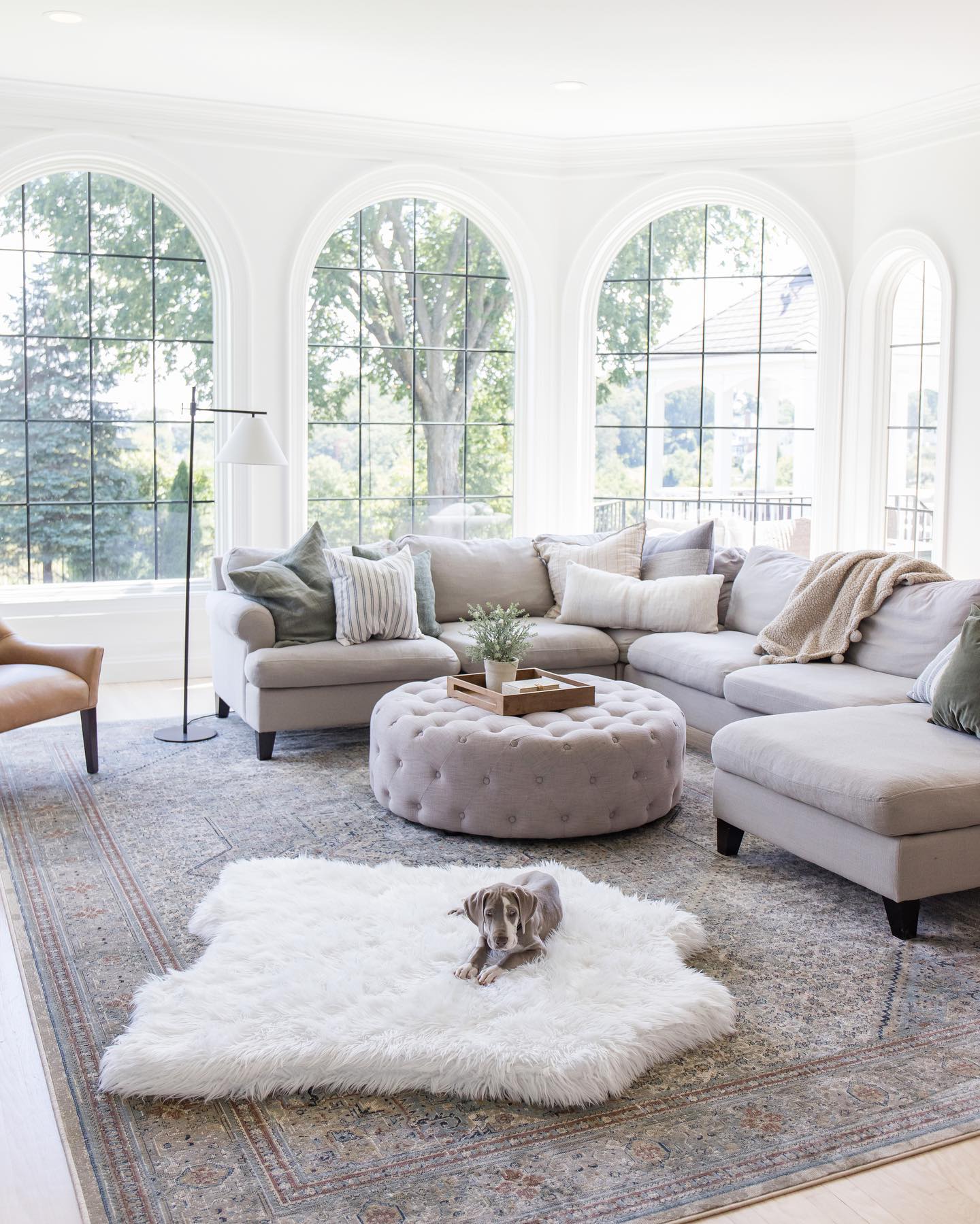 PupRug® Animal Print Memory Foam Dog Bed - Polar Bear Faux Hide