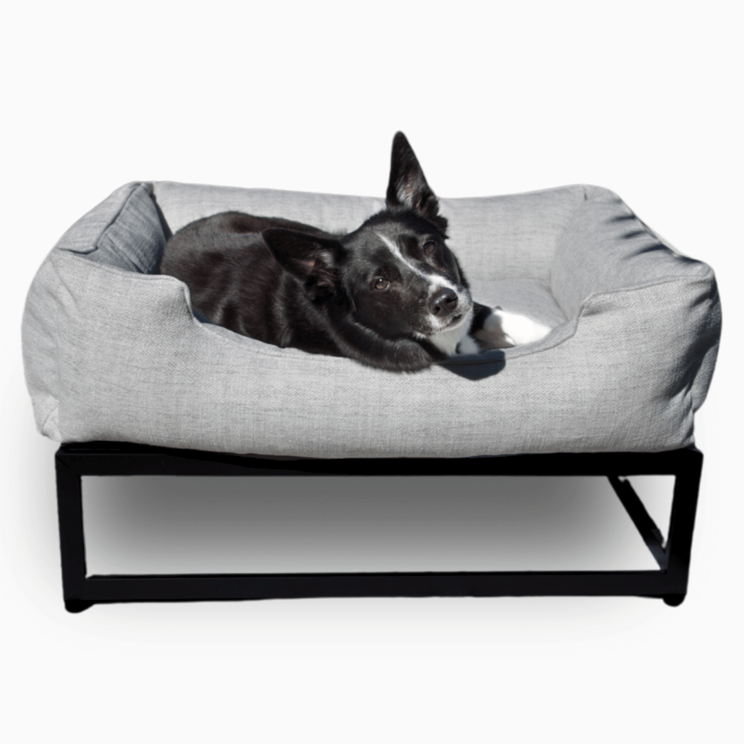 The FÜZI Dog Bed