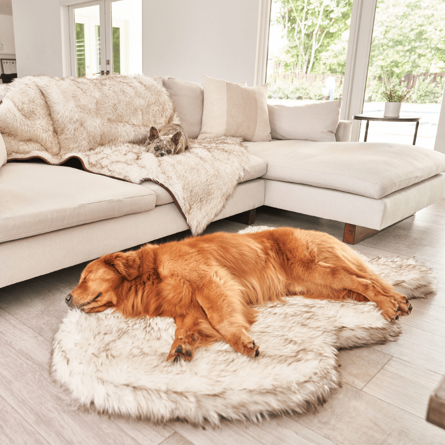 PupRug by Paw.com® Faux Fur Orthopedic Dog Bed - Curve White with Brown Accents