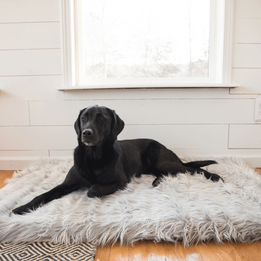 PupRug by Paw.com® Faux Fur Orthopedic Dog Bed - Rectangle Grey