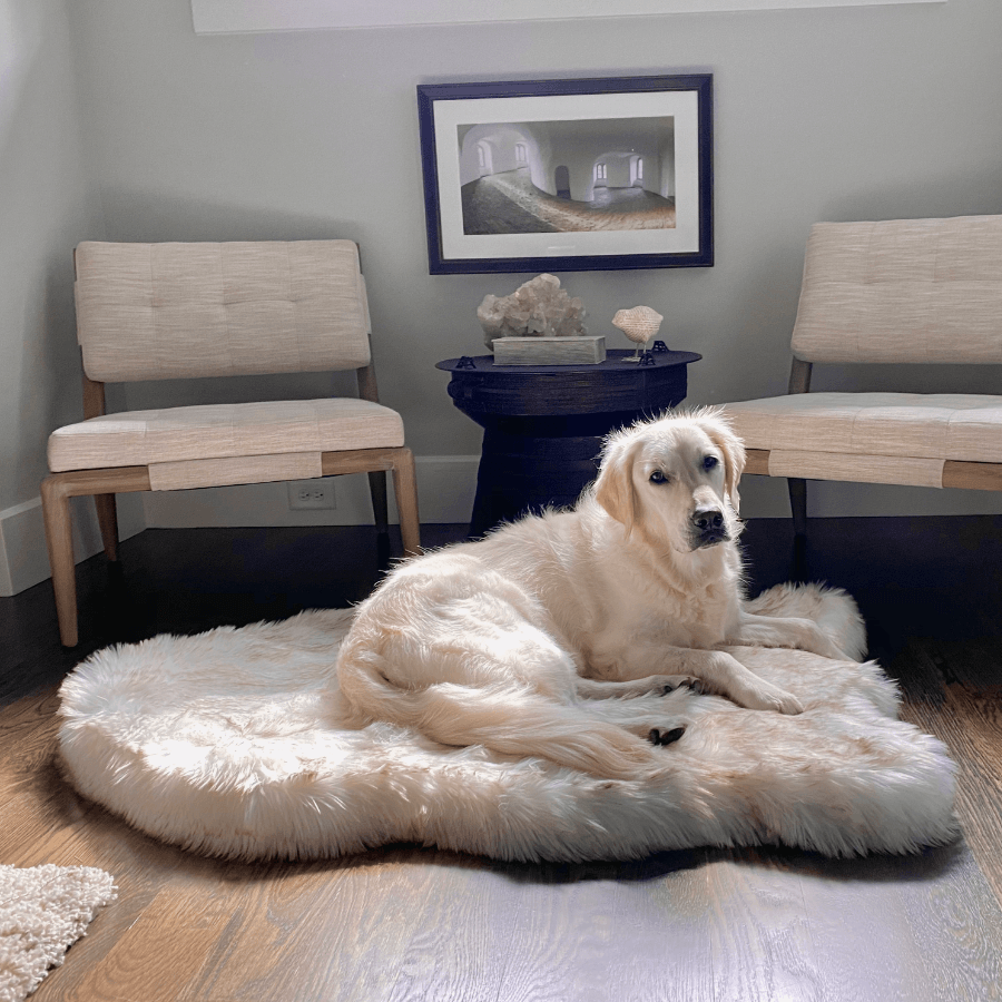 PupRug by Paw.com® Faux Fur Orthopedic Dog Bed - Curve White with Brown Accents