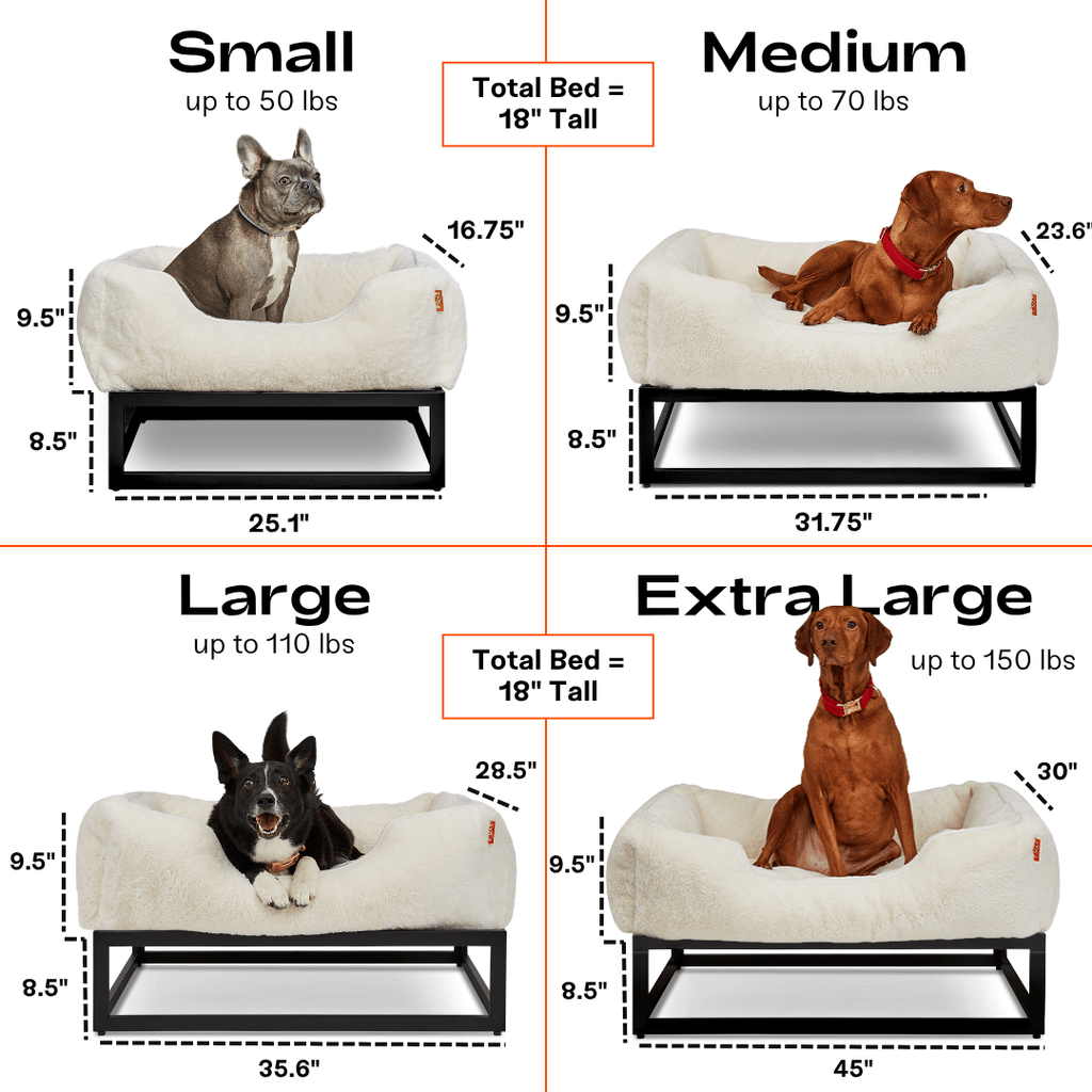 The FÜZI Dog Bed