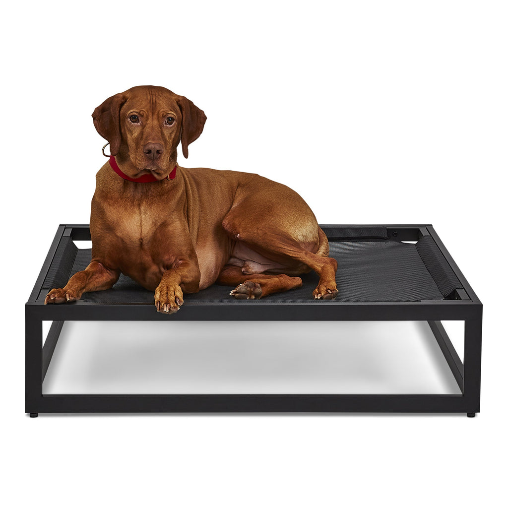 The Up Pup Dog Bed