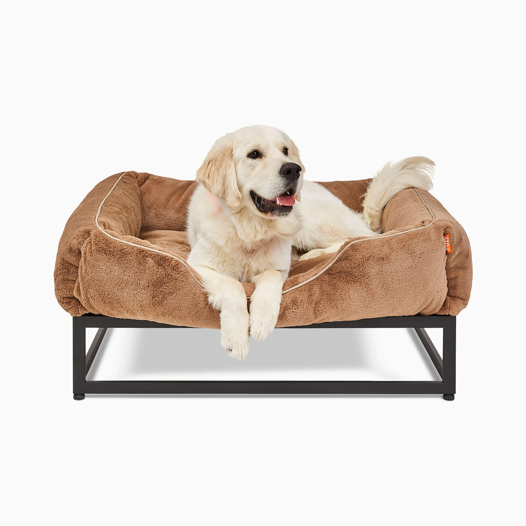 The FÜZI Dog Bed