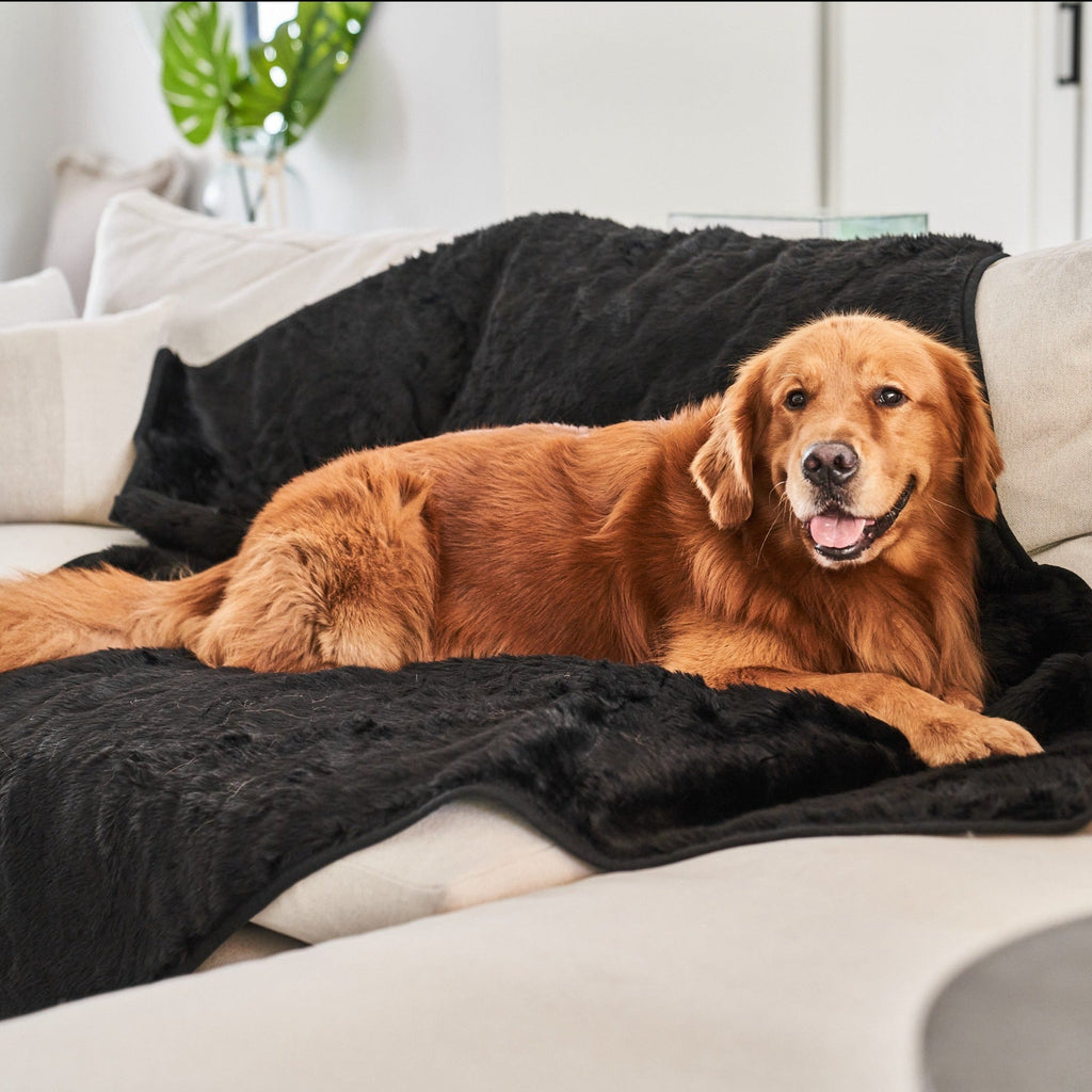 PupProtector™ Summer Short Fur Waterproof Throw Blanket - Midnight Black