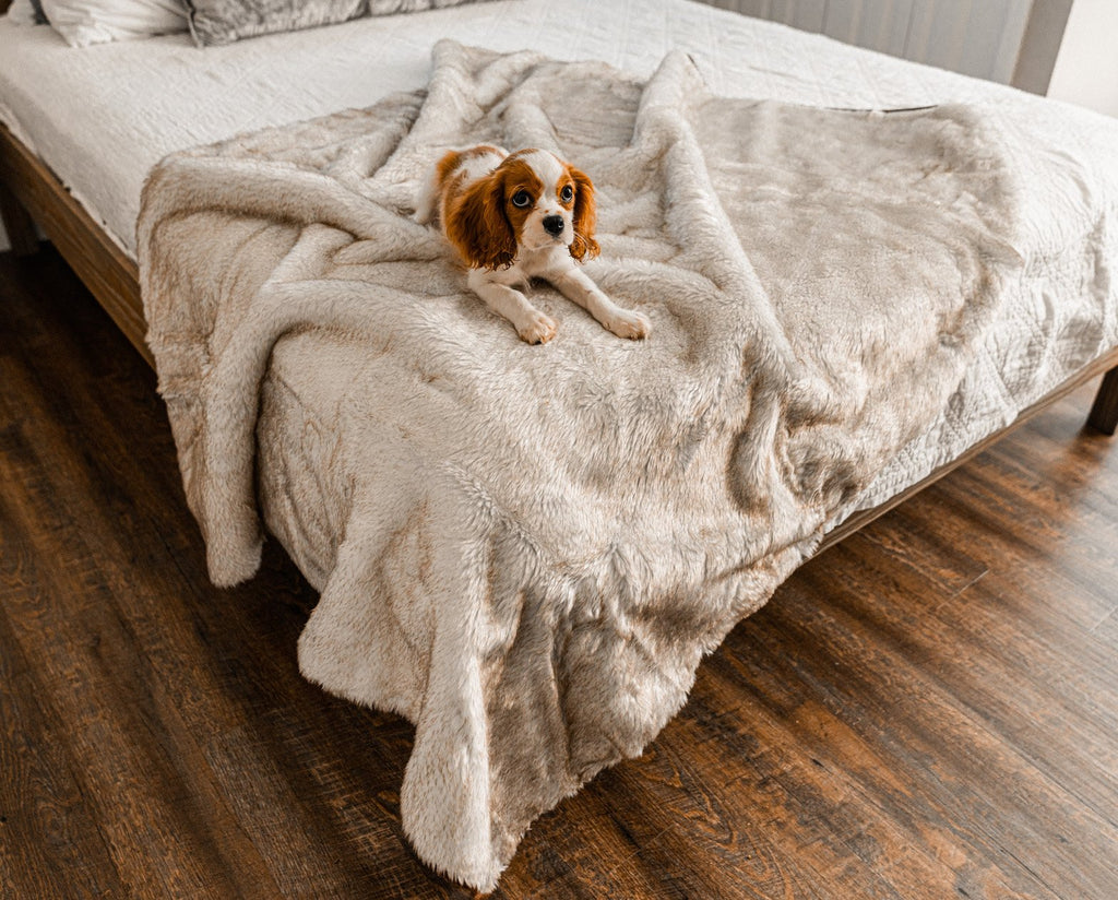 PupProtector™ Summer Short Fur Waterproof Throw Blanket - White with Brown Accents