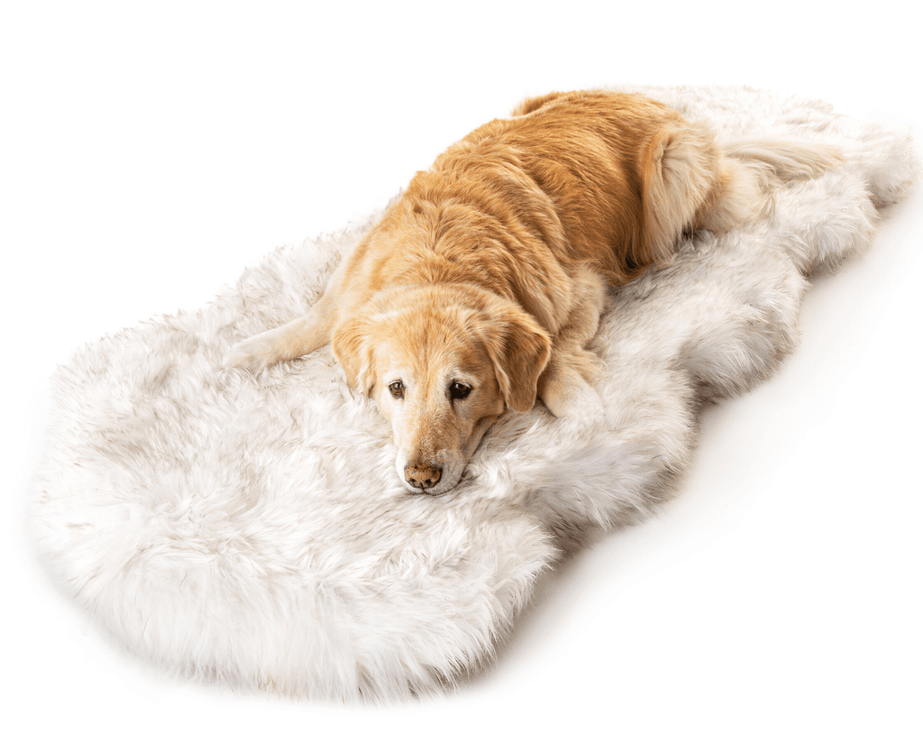 PupRug® Runner Faux Fur Memory Foam Dog Bed - Curve White with Brown Accents