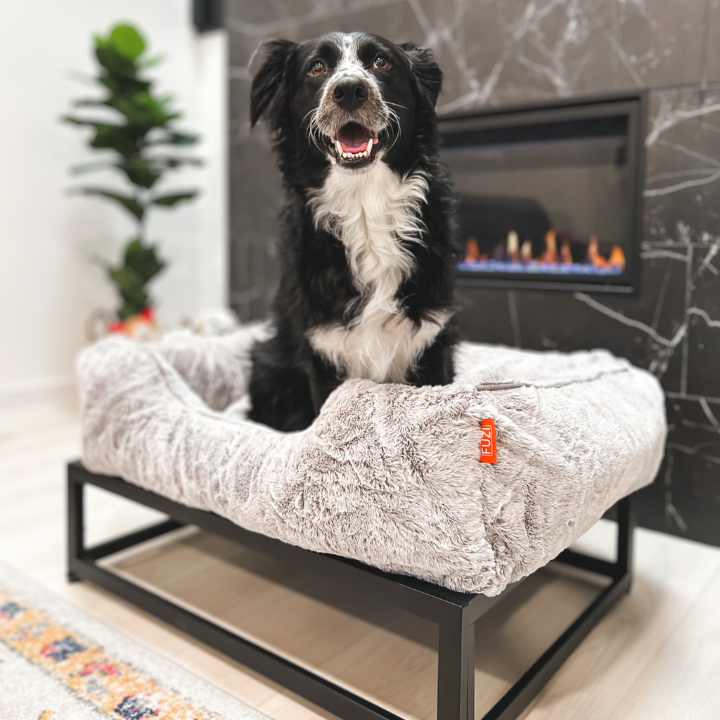 The FÜZI Dog Bed