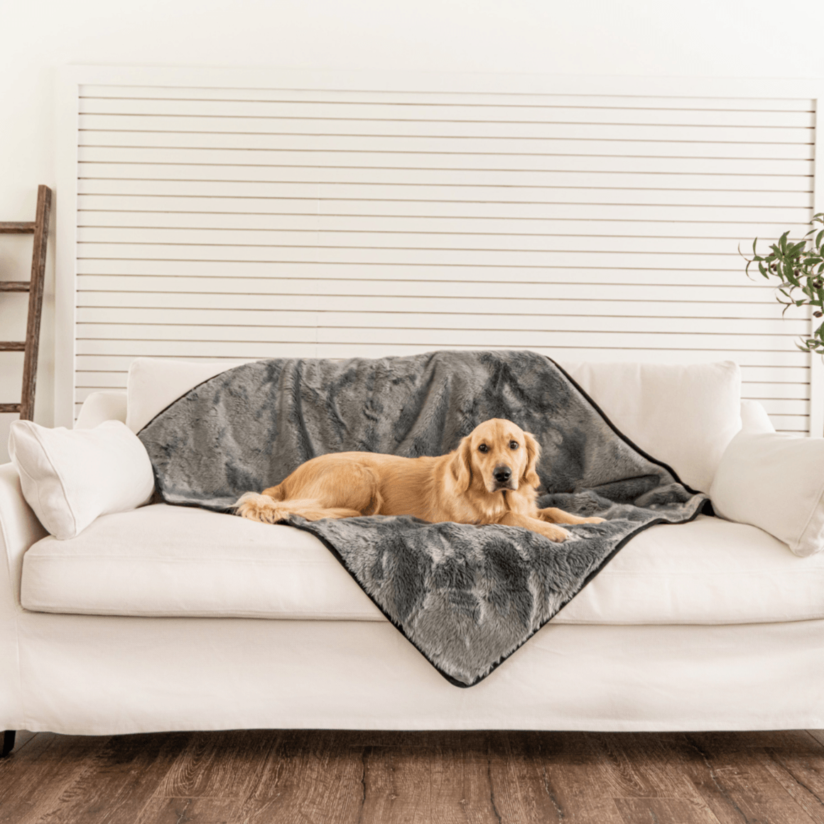PupProtector™ Summer Short Fur Waterproof Throw Blanket - Charcoal Grey