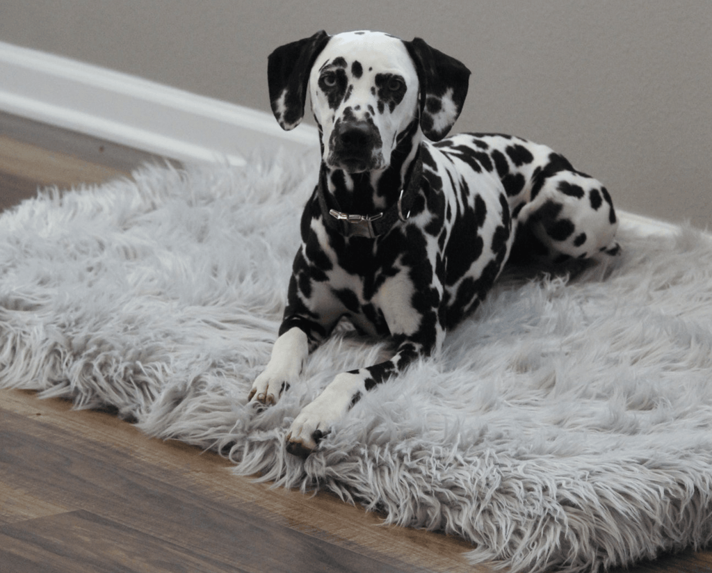 PupRug by Paw.com® Faux Fur Orthopedic Dog Bed - Rectangle Grey