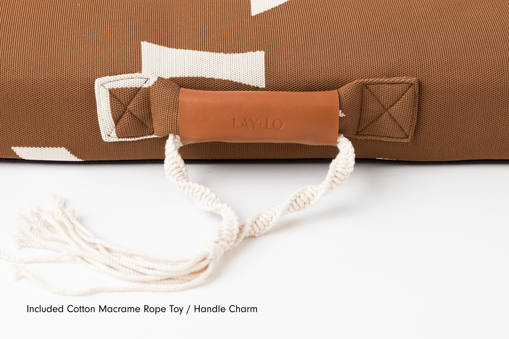 John Legend | Brown Fragment Dog Bed or Bed Cover