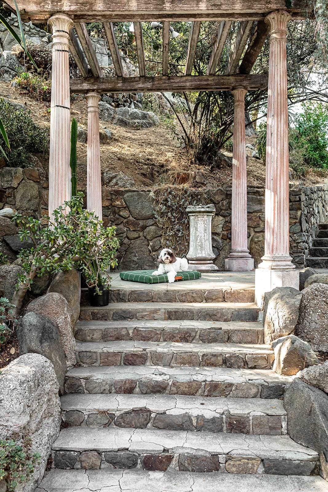 Hunter Green Grid | Dog Bed or Bed Cover