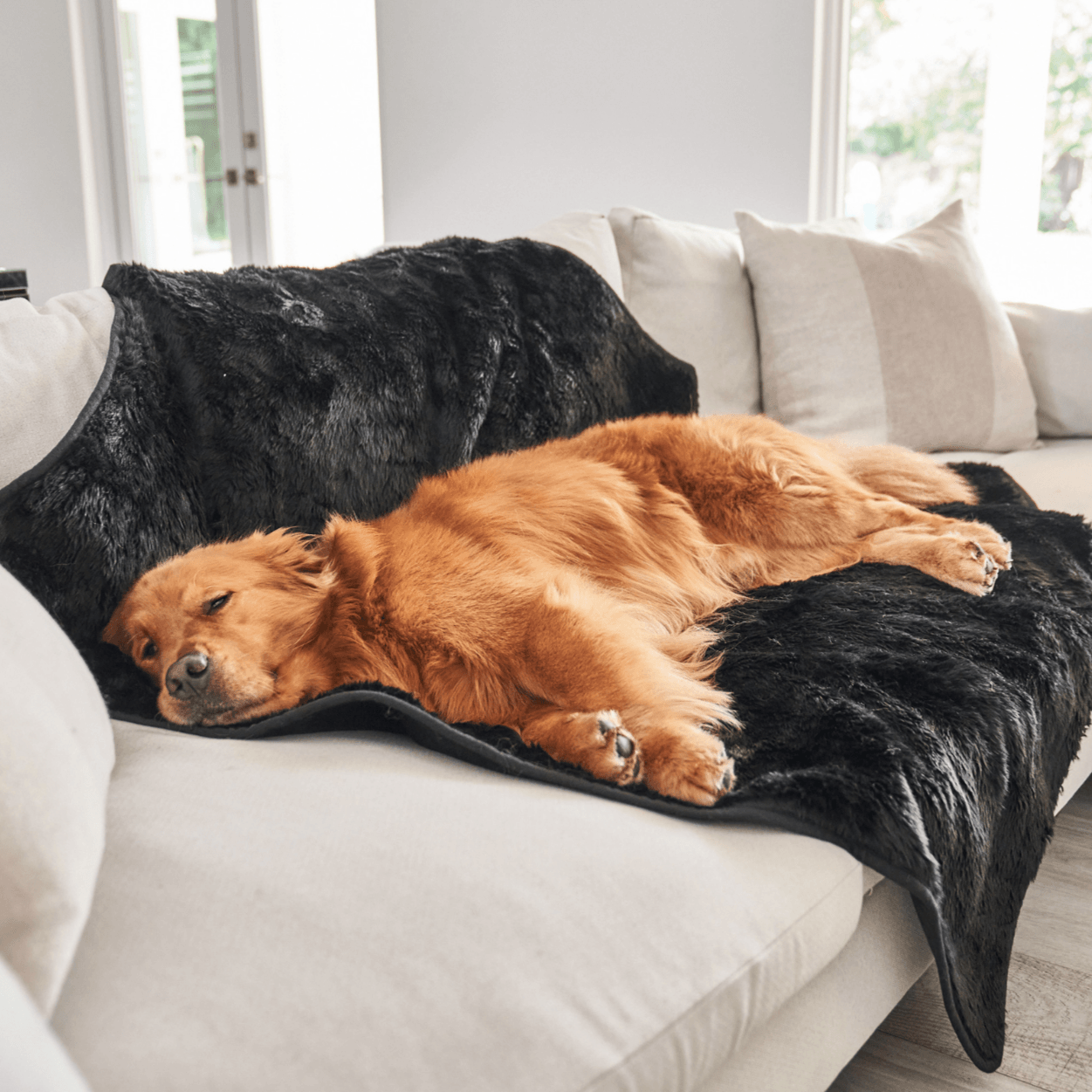 PupProtector™ Summer Short Fur Waterproof Throw Blanket - Midnight Black