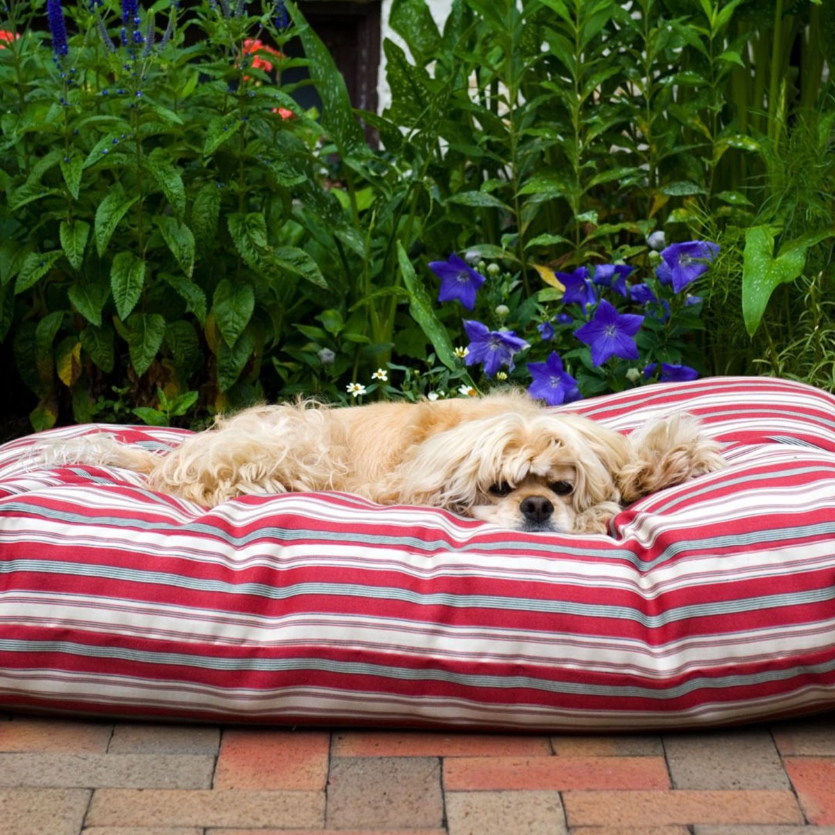 Striped Jamison Indoor Outdoor Dog Bed